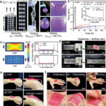 Super-adhesive patches can adapt to different motions for enhanced skin interaction