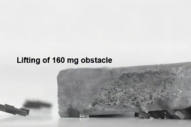 Watch 'ant-like' robot swarms conquer obstacles and transport heavy loads