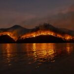 How technology could help battle future fires