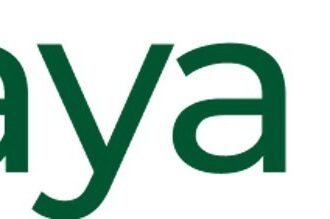Kaya AI Raises $5.3M in Pre-Seed Funding