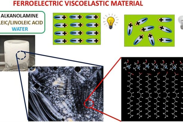 Electricity-producing slime could power floors, shoes and more