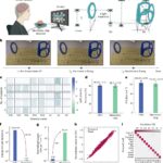First two-way adaptive brain-computer interface enhances communication efficiency