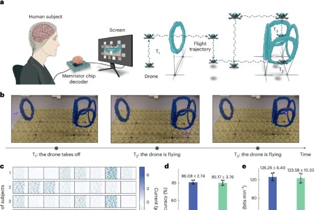 First two-way adaptive brain-computer interface enhances communication efficiency