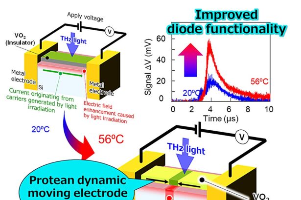 'Living' electrodes breathe new life into traditional silicon electronics