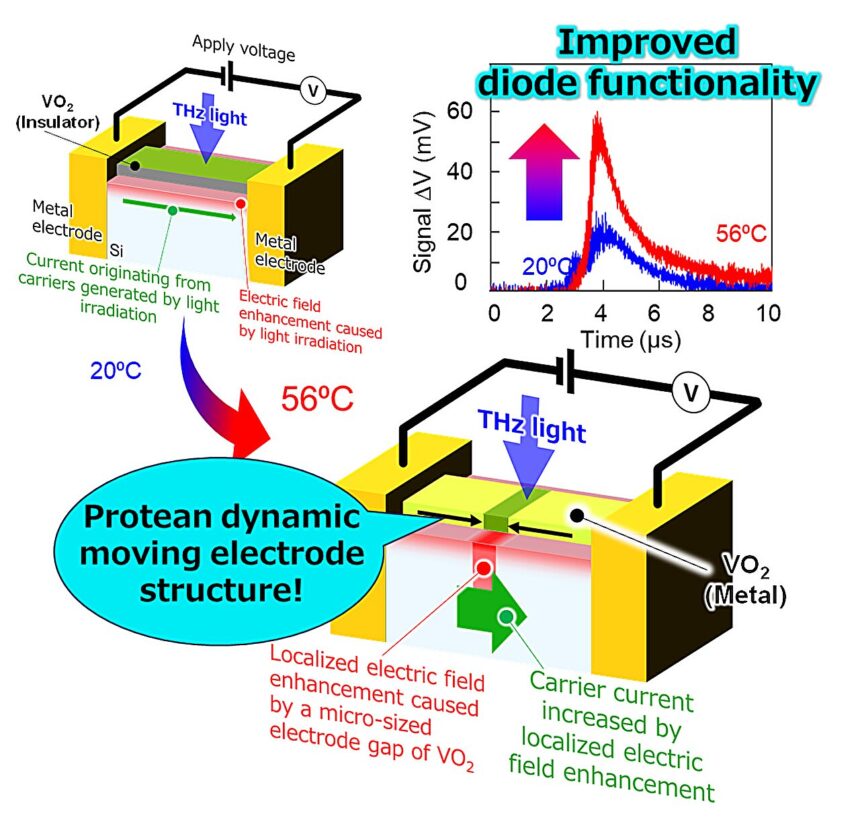 'Living' electrodes breathe new life into traditional silicon electronics