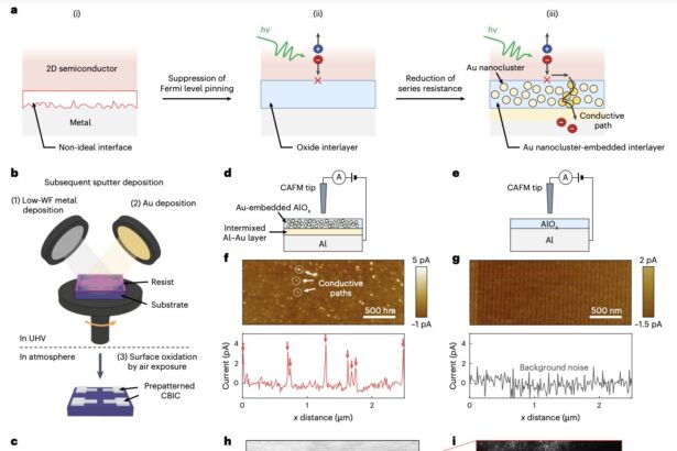 New conductive-bridge interlayer contacts could boost performance of 2D optoelectronics