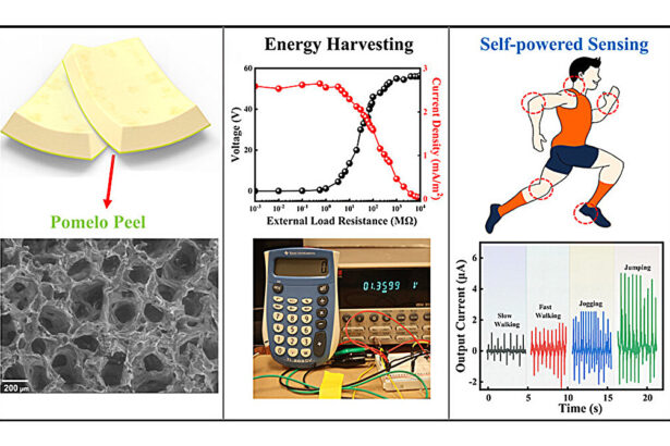 Pomelo peel can be used for electricity generation and sensing devices
