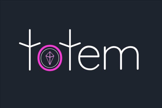 Totem Closes $1.3M in Pre-Seed Funding