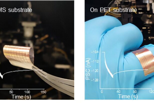 Wearable bionic device mimics birds' extraordinary sight