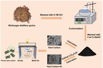 Baijiu sediment transformed into anode for sodium-ion batteries