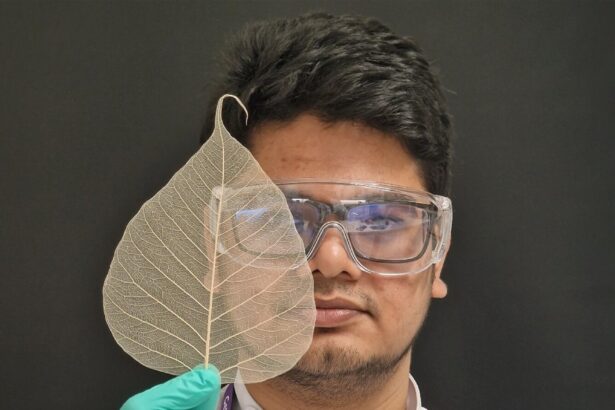 Biomimetic fabrication technique uses leaf skeletons as templates