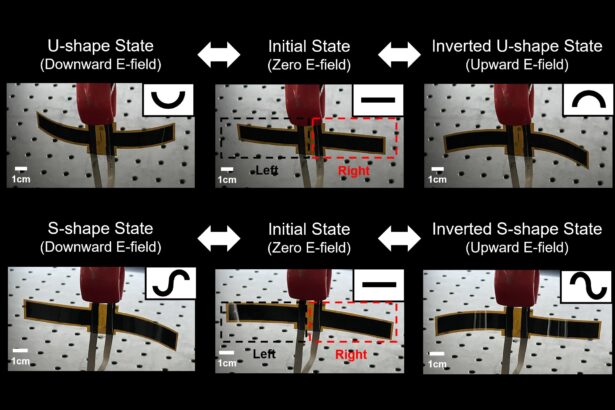 Dynamic smartphone display with integrated speaker technology unveiled