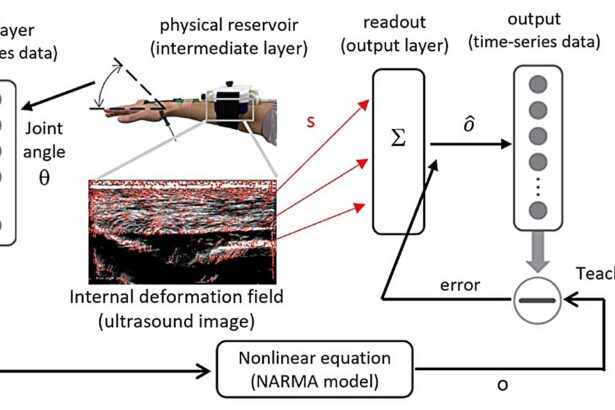 Humans as hardware: Computing with biological tissue