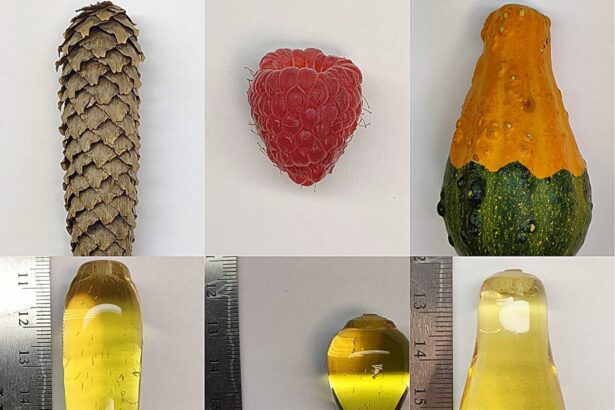 Nature-inspired 3D-printing method shoots up faster than bamboo