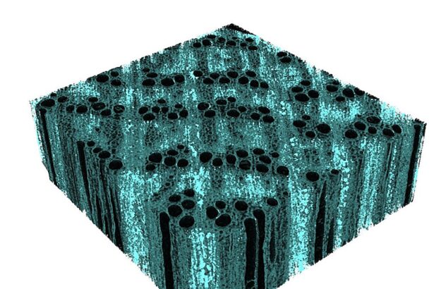 Engineers fortify wood with eco-friendly nano-iron