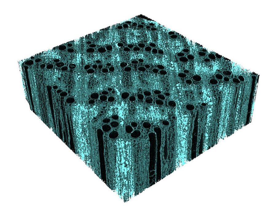 Engineers fortify wood with eco-friendly nano-iron