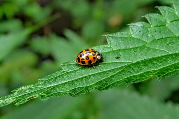 How debugging and data lineage techniques can protect Gen AI investments