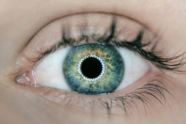 Human eye as the Fundamental AI Research (FAIR) team at Meta announces five projects advancing the company's pursuit of advanced machine intelligence (AMI) with significant boosts to enhancing perception abilities for use cases including robotics and agents.