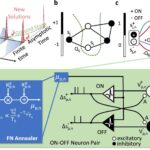 Neuromorphic system uses quantum effects to find optimal solutions to complex problems