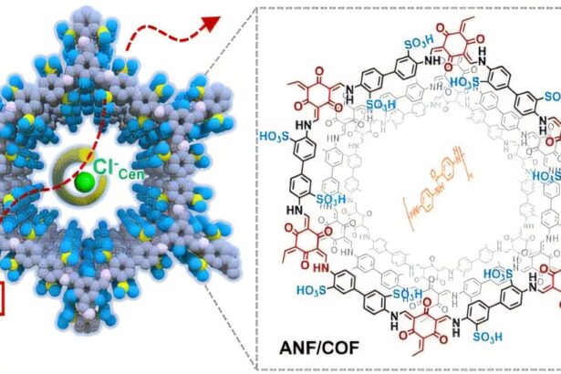 Novel membrane design mimics protein channels for efficient energy harvesting