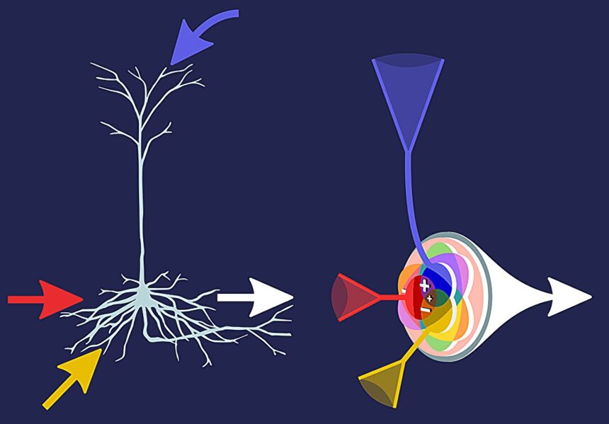 Self-organizing 'infomorphic neurons' can learn independently