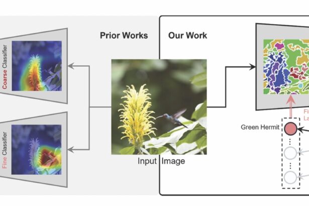 AI model classifies images with a hierarchical tree from broad to specific