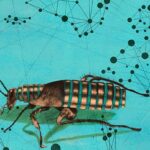 Cockroach Labs & Red Hat Team Up on Hybrid Cloud VM Migrations