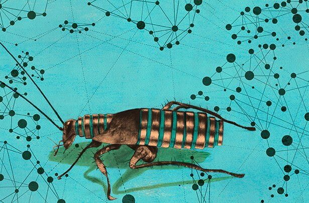 Cockroach Labs & Red Hat Team Up on Hybrid Cloud VM Migrations