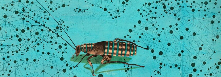 Cockroach Labs & Red Hat Team Up on Hybrid Cloud VM Migrations