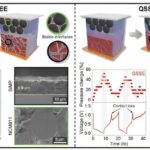 Interlocked electrodes push silicon battery lifespan beyond limits