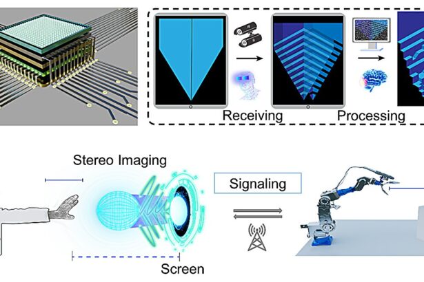Self-positioning microdevices with circularly polarized luminescence enable adaptable 3D display