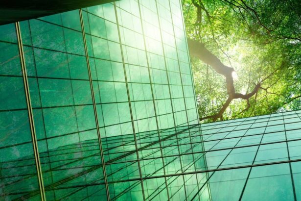 Siemon announces 52.5 per cent absolute reduction in Scope 1 and 2 GHG emissions