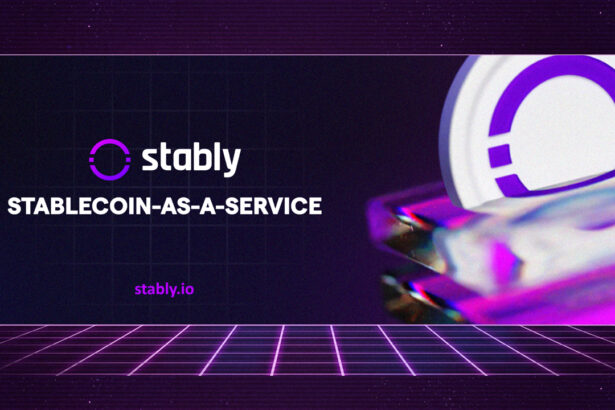 Stably Introduces Stablecoin Development & Advisory Services for Institutions & Enterprises