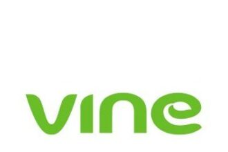 Vine Financial Raises Seed Funding