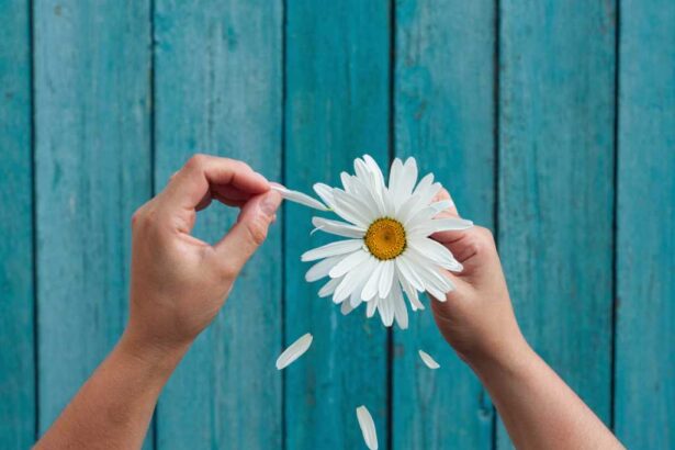 Hand plucking petals from a flower. Loves me, loves me not