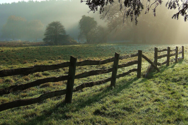 Illustrative image for article on private AI. "Fence" by foilman is licensed under CC BY-SA 2.0.