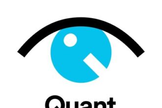 QUANT INSIGHT LIMITED Logo