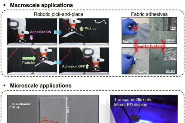 Shape memory polymers with nanotips help solve micro-LED chip transfer problem