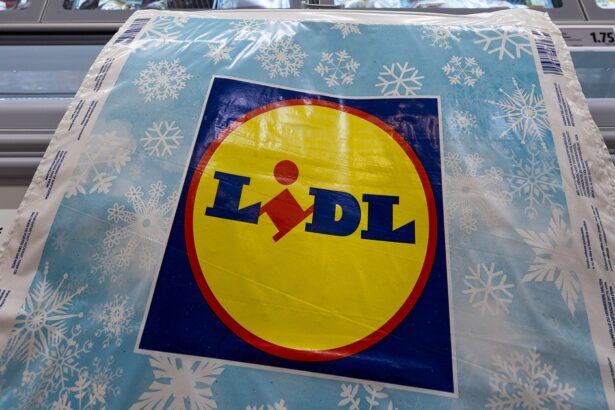 Supermarket Billionaire Wants to Build AI Gigafactory in Europe