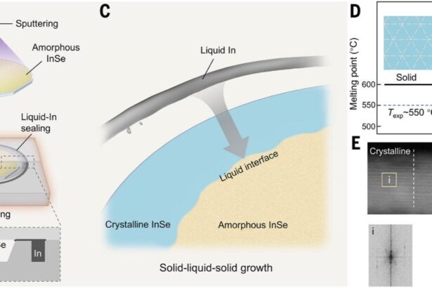 Wafer-scale 2D InSe semiconductors achieve record performance for next-generation electronics