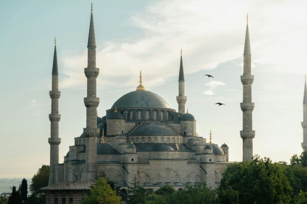 AI Tops Investment Priorities for Turkish Companies, Says DE-CIX