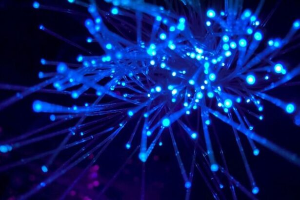 Cogent Expands Wavelength, IP Transit Services