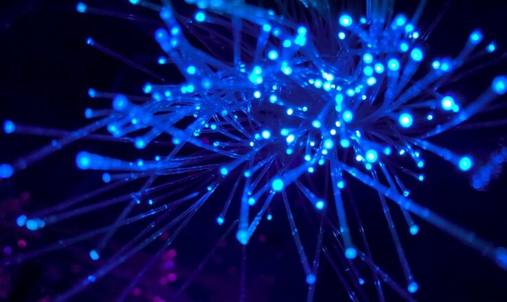 Cogent Expands Wavelength, IP Transit Services