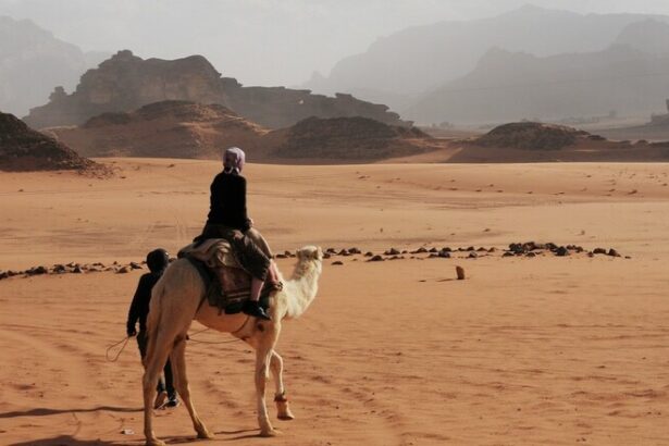 Coral Bridge Subsea Cable Now Connects Egypt and Jordan