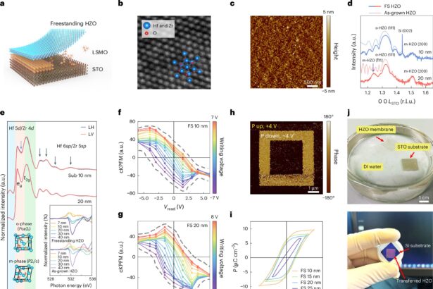 Freestanding hafnium zirconium oxide membranes can enable advanced 2D transistors