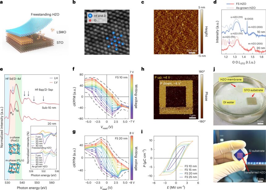 Freestanding hafnium zirconium oxide membranes can enable advanced 2D transistors