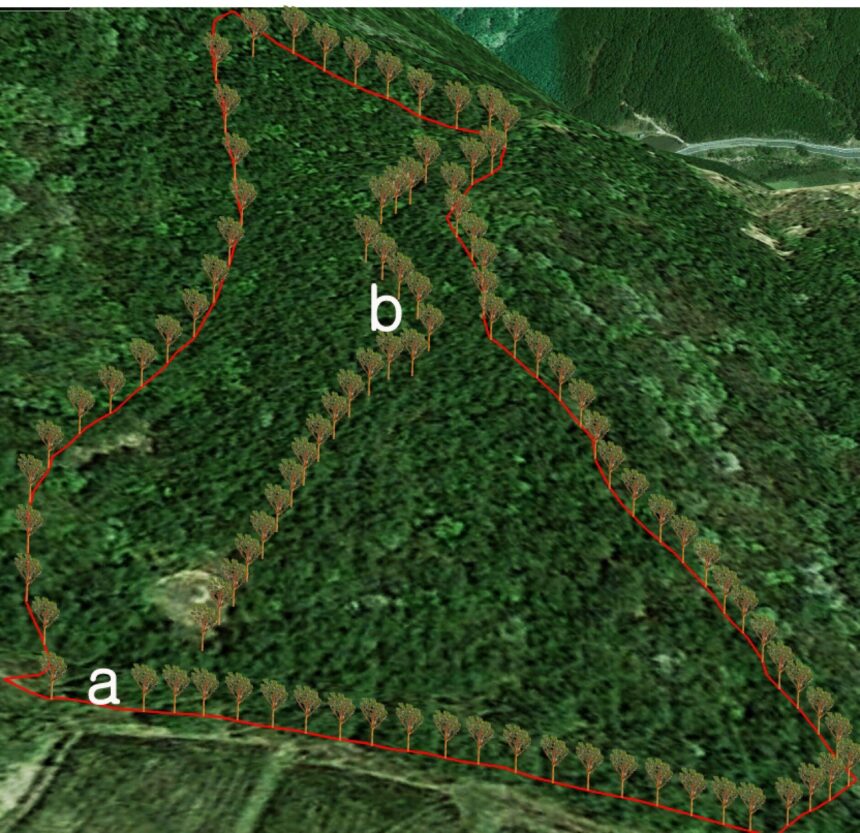 Solar trees provide opportunity to meet renewable energy targets without deforestation