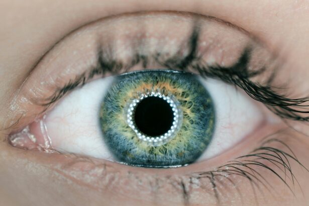 SoundHound is giving its AI the power of sight