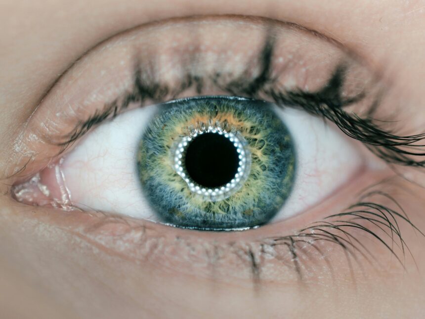 SoundHound is giving its AI the power of sight