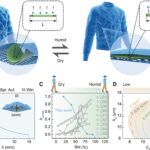 Sweat-sensitive jacket adjusts its thickness to keep you comfortable when it's cold